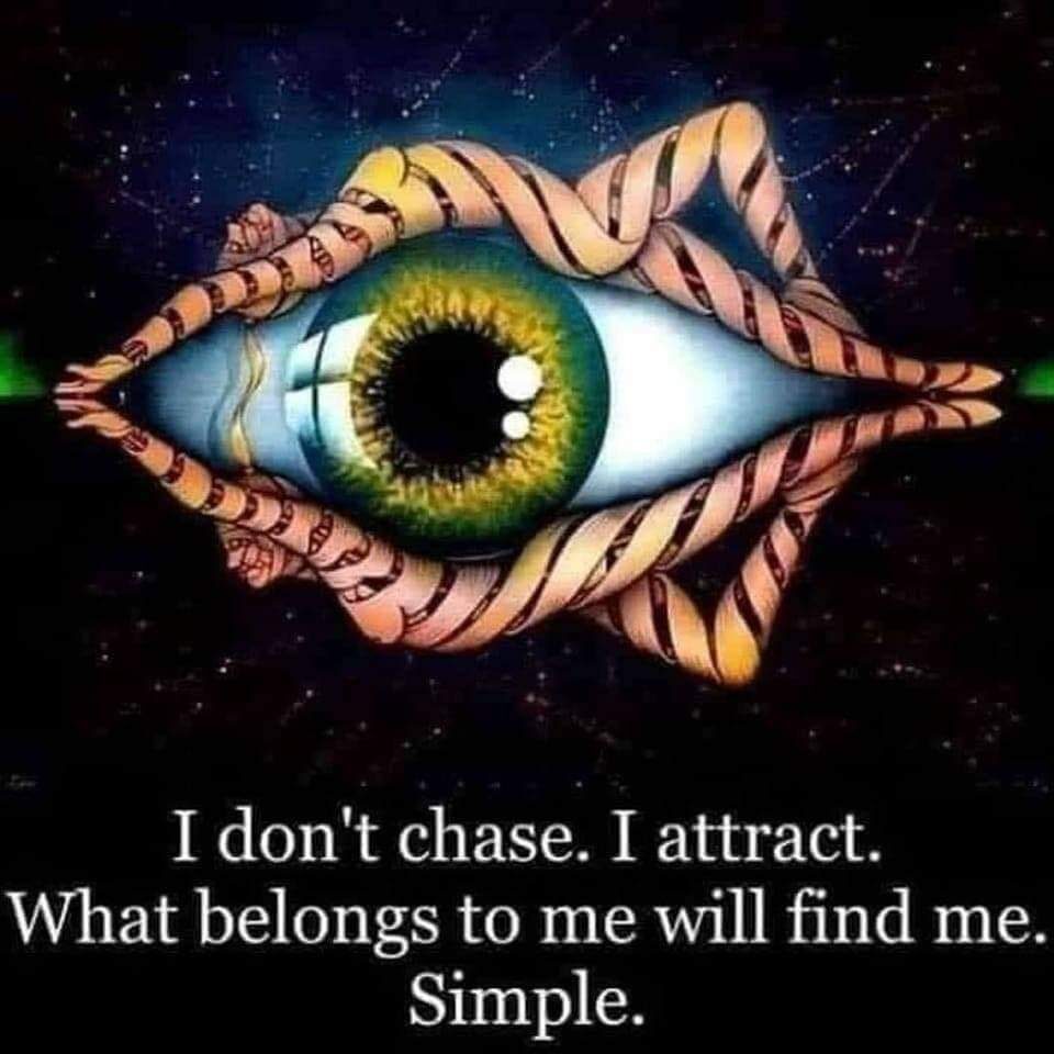 A picture of an eye with the words " i don 't chase, i attract."